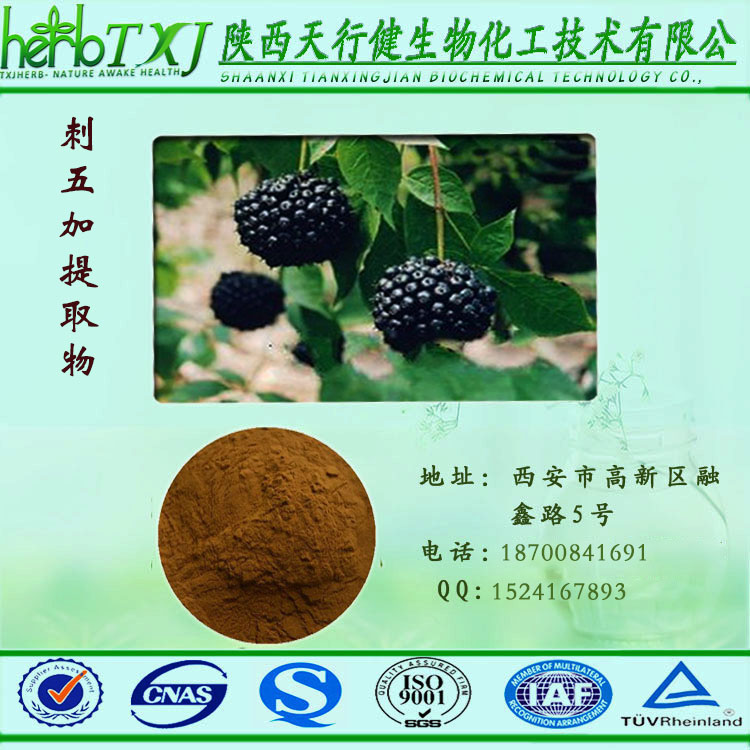 刺五加提取物
