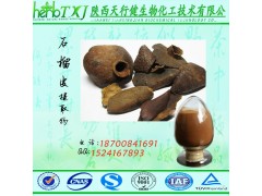 鞣花酸40% 石榴皮提取物 石榴皮鞣花酸 安石榴甙 多种规格 SC证源头工厂 品质保证 现货包邮