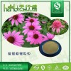 紫锥菊提取物 4%紫锥菊多酚 菊苣粉 菊苣酸 品质保证 资质齐全包邮一公斤装 批发价