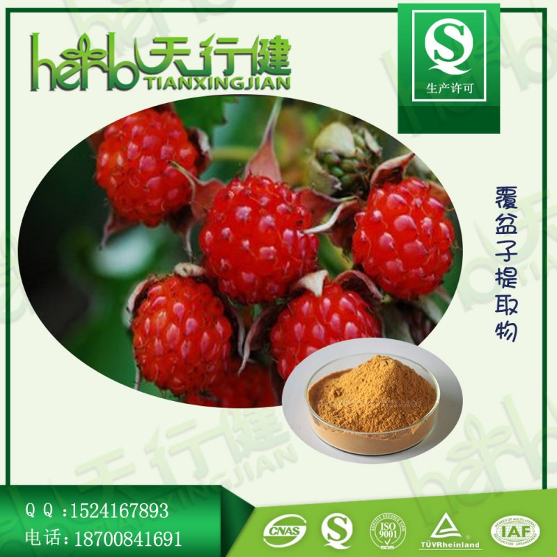 覆盆子提取物1