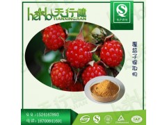 覆盆子提取物 覆盆子黄酮4% 覆盆子酮 树莓提取物 覆盆子粉 QS天行健厂家现货直销 欢迎咨询
