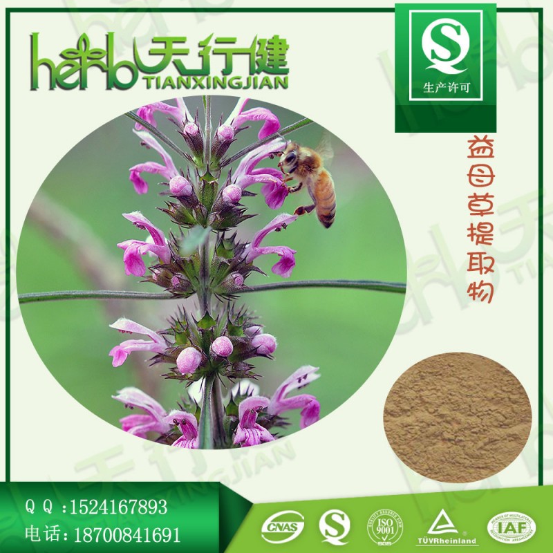 益母草1