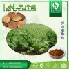 泽泻提取物20:1 泽泻醇 泽泻粉 源头厂家质量保证 现货供应 一公斤起订
