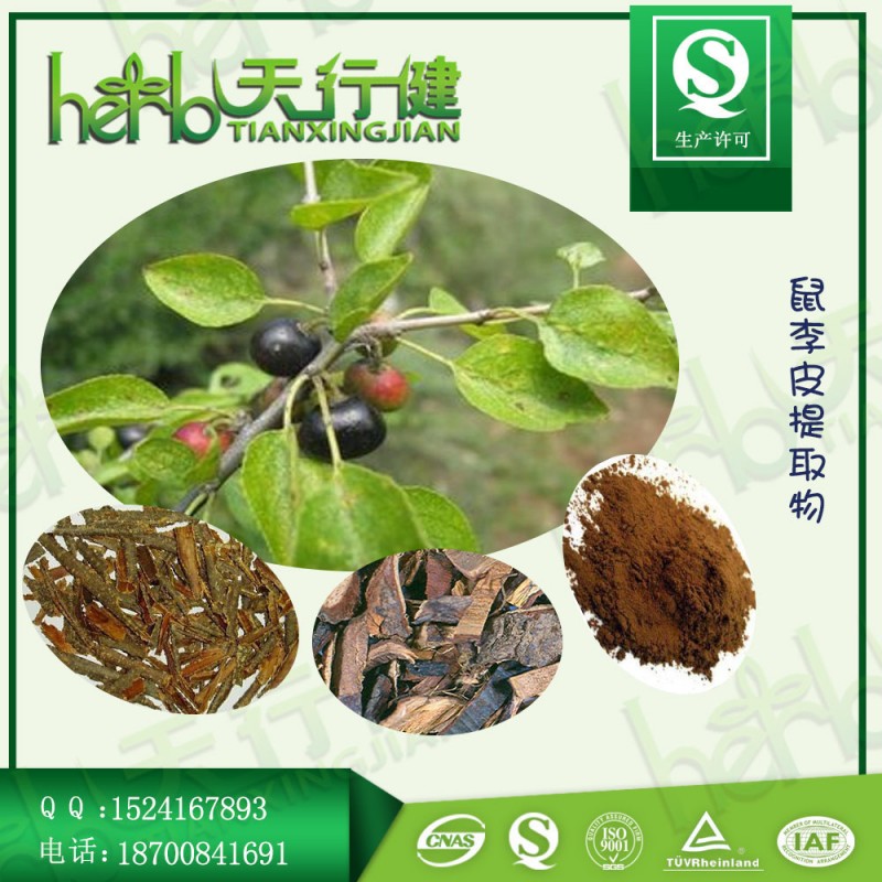 鼠李皮1