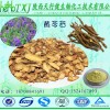黄芩苷90% 黄芩甙 黄芩提取物85%，90% Baicalin黄芩粉 灯盏花素 供应商现货价格 1kg起