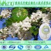 曲克芦丁99% 槐米提取物 芦丁粉 NF11芦丁 槲皮素 厂家直销 优质原料 HPLC检测质量保证 现货包邮价格