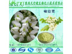 槐米/槐花提取物 槲皮素98% 槐米槲皮素 二氢槲皮素 异槲皮素95%-99% UV检测 保健品原料 源头厂家现货直销 量大从优