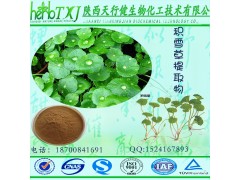 积雪草总甙70% 积雪草单甙 积雪草提取物 积雪草酸 积雪草粉 天行健源头厂家积雪草提取物 现货包邮价格