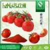 番茄红素10% 新疆番茄提取物 番茄粉 西红柿红素食品级 QS备案 1KG起订含运费