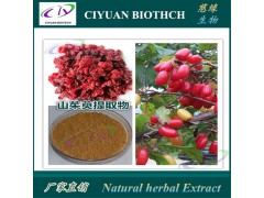 山茱萸提取物 Fructus Corni P.E.