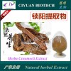 锁阳提取物10:1 天然保健原料