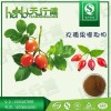 玫瑰果提取物 玫瑰果多酚20% 玫瑰果黄酮 玫瑰果VC5% 玫瑰果粉 QS厂家常年供货 品质保证 量大从优