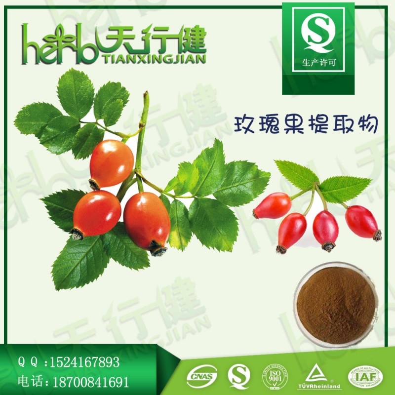玫瑰果1