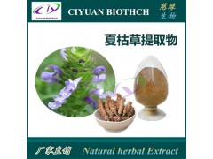 夏枯草提取物10:1  质优价廉 品质保证