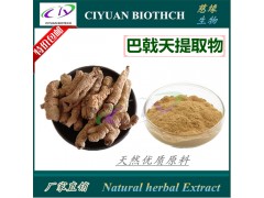 巴戟天提取物10:1 慈缘现货热销 欢迎选购