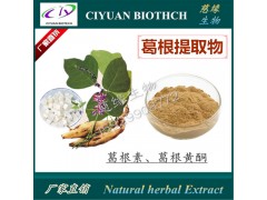葛根提取物10:1 葛根黄酮 库存现货