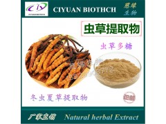虫草提取物10:1 虫草多糖30% 50%