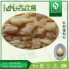 乳香提取物 乳香酸65% 乳香粉 食品级 二十年专业提取厂家 质量保证 欢迎询价