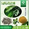 橄榄叶提取物 橄榄苦甙10% 羟基酪醇20~40%可定制 QS认证厂家现货直销 品质保证