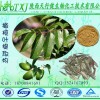橄榄苦甙60% 橄榄苦苷 橄榄叶提取物 规格可定制 HPLC检测含量保证 欢迎询价