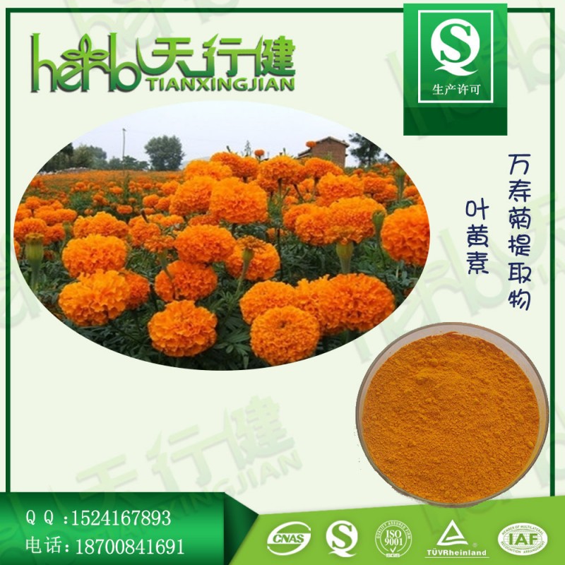 叶黄素1