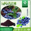 蓝莓提取物 蓝莓花青素25% 越橘花青素 EP花青素 蓝莓果粉 QS厂家天行健保质保量 含运费