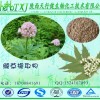 缬草提取物 0.8%缬草酸 缬草根植物萃取 缬草粉 品质保障 包邮