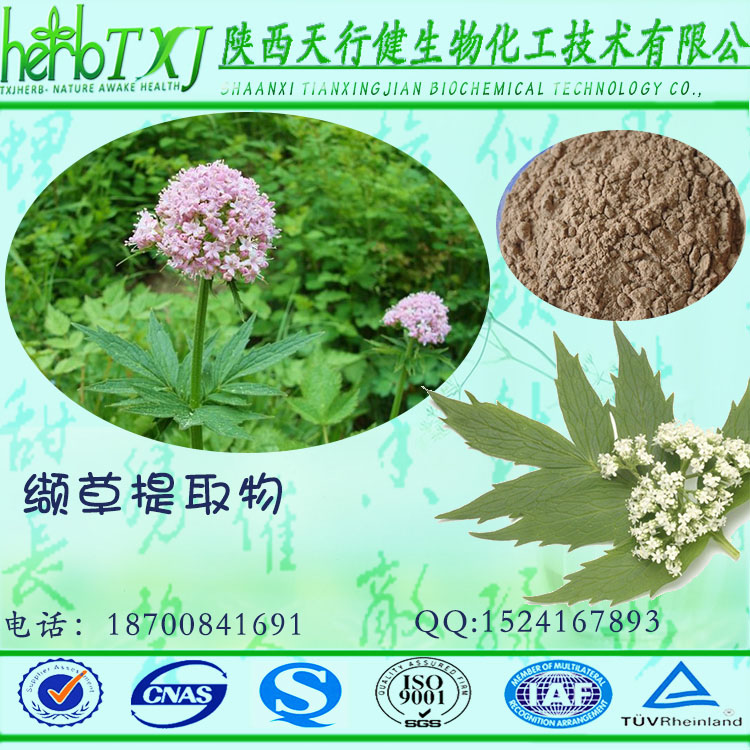 缬草1