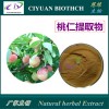 桃仁提取物10:1 桃子核提取物