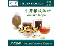 牛蒡根提取物10:1 牛蒡子苷