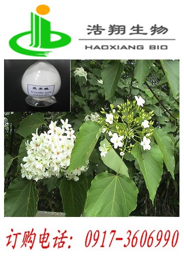 泡桐叶/枇杷叶天然提取 熊果酸单体物质找宝鸡浩翔生物