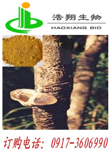 黄杨木天然提取 漆黄素又名漆黄酸找浩翔生物