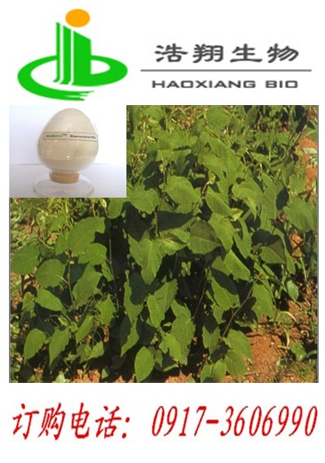 虎杖天然提取反式白藜芦醇葡萄糖甙 找宝鸡浩翔生物
