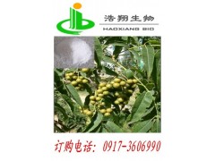 苦参提取苦参碱 氧化得苦参素98%99%找浩翔生物