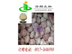大蒜提取（蒜辣素 Allicin1.0%）