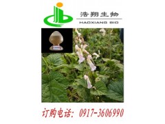 丹酚酸BSalvianolic acid B