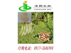 黄芪提取物Astragalus P.E.