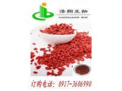 枸杞提取物Barbury Wolfberry fruit P.E.