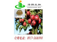 山楂果提取物Hawthorn P.E.