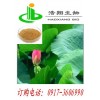 荷叶提取物Lotus leaf P.E