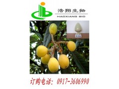 枇杷叶提取物Loquat Leaf P.E.