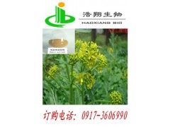 板蓝根提取物Radix isatidis P.E
