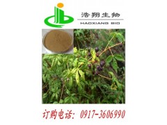 刺五加提取物Siberian ginseng P,E