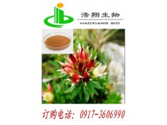 蛇床子天然提取分离各个规格蛇床子素