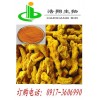姜黄素Curcumin