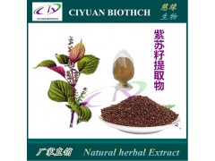 紫苏提取物10:1 紫苏籽提取物 大量库存现货