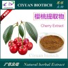 樱桃提取物10:1 针叶樱桃提取物