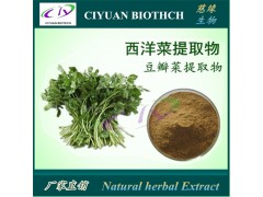 西洋菜提取物10:1 豆瓣菜提取物