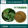 叶下珠提取物10:1 库存现货