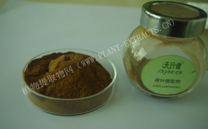 IMGP8567_副本